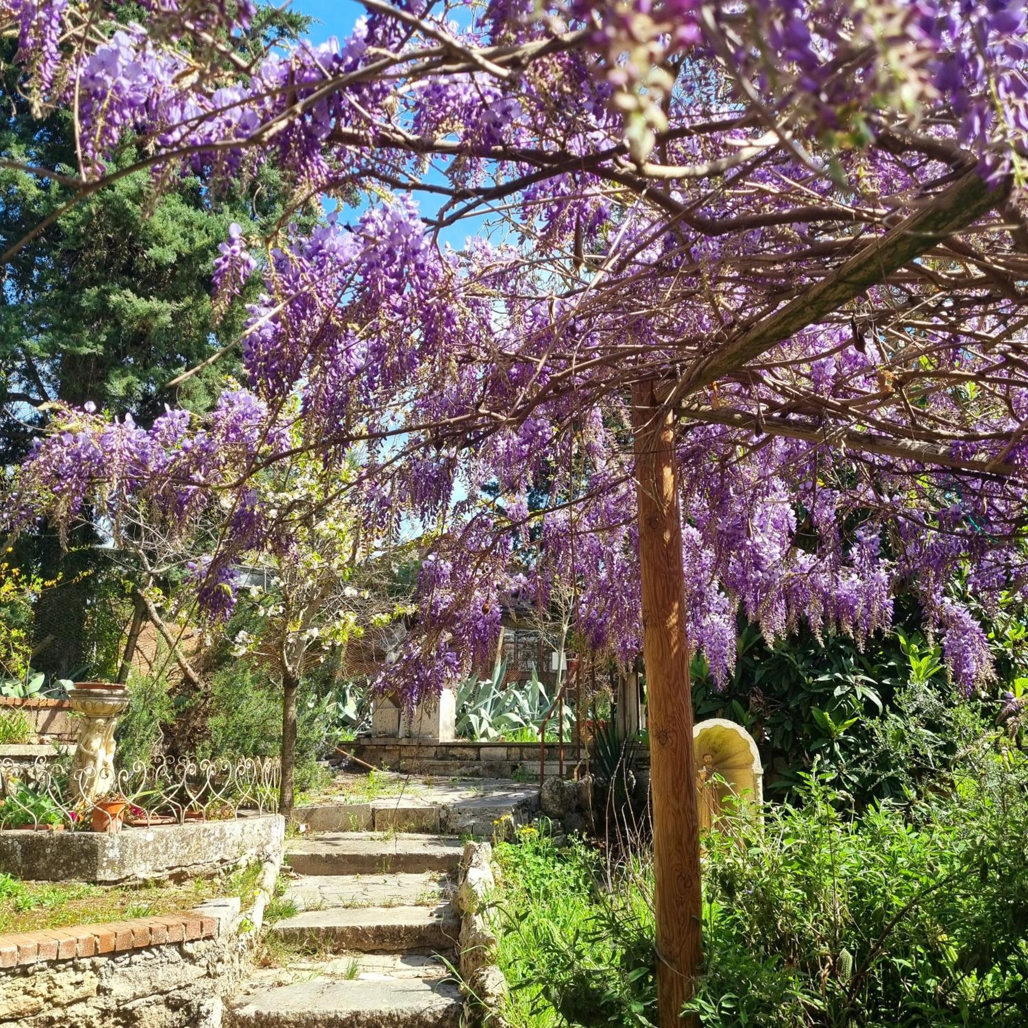 San Francesco Hotel Rapolano Terme Luaran gambar