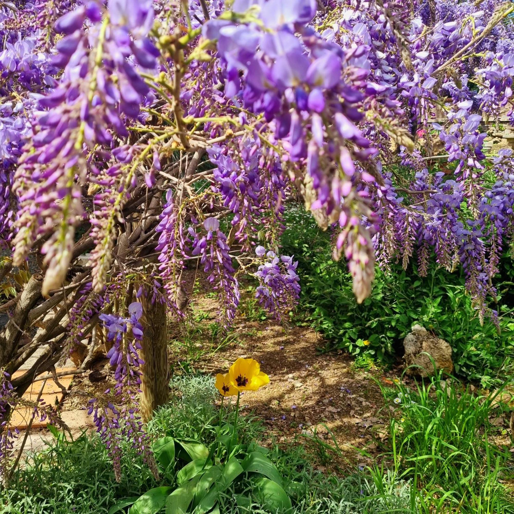 San Francesco Hotel Rapolano Terme Luaran gambar